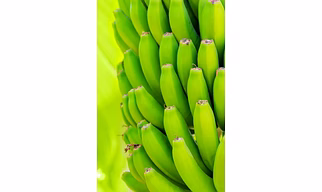 Raw banana