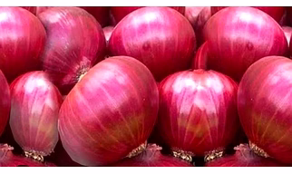 ONION