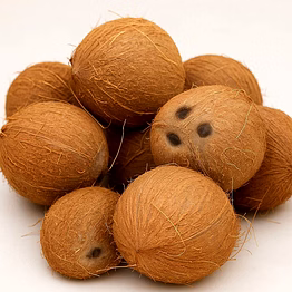 matured shelled coconut