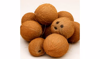 Matured Shelled Coconut