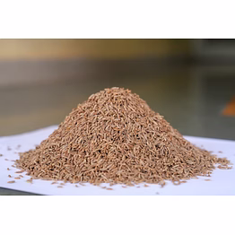 cummin seed