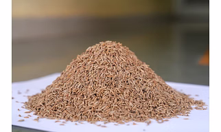 CUMMIN SEED
