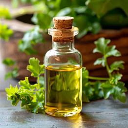 citronella oil