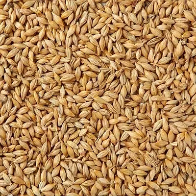 barley