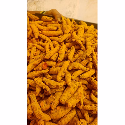 turmeric