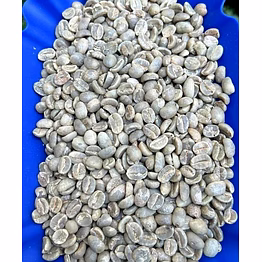 arabica green coffee beans