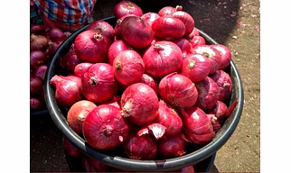 Onion