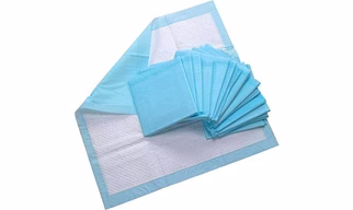DISPOSABLE UNDERPAD