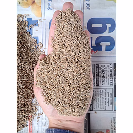 cumin seeds