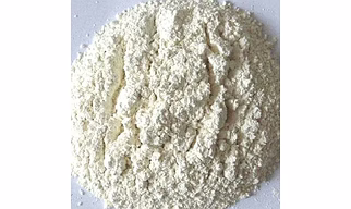 WHITE ONION POWDER IRRADIATED