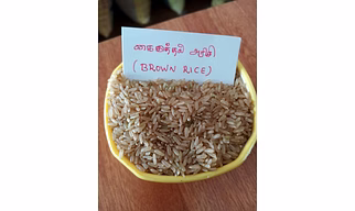 Red Rice
