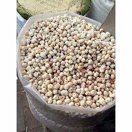 lotus seed/ fox nut/makhana