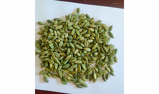 Cardamom