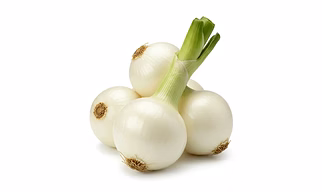 White Onion