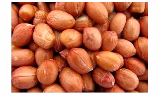 Bold Peanuts