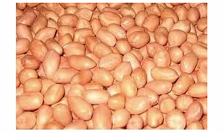 Java Peanuts