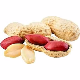 tj peanuts