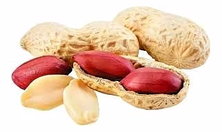 TJ Peanuts