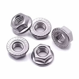 hex nuts & flange nuts