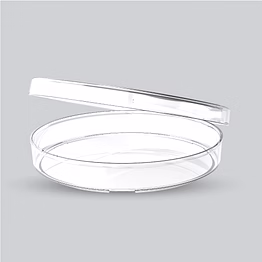 petri dish