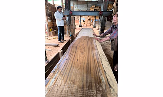 Teak wood