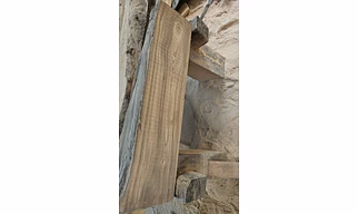 Teak wood