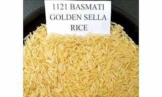 1121 golden rice