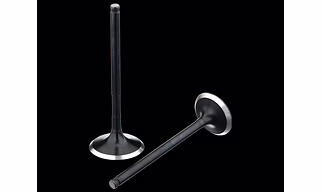 Honda Engine Valve