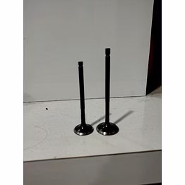engine valve, alto 800 [intake and exhaust]