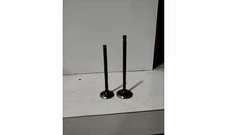 Engine valve, Alto 800 [Intake and Exhaust]