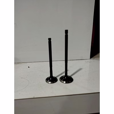 engine valve, alto 800 [intake and exhaust]