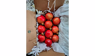 Pomegranate