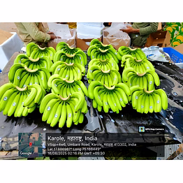 g9 banana