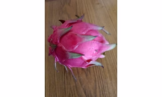 Dragon fruit