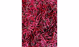 Teja dry chilli