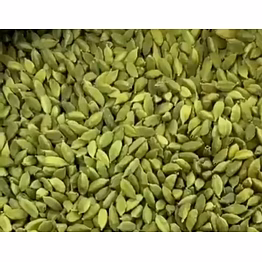 cardamom