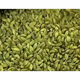 CARDAMOM
