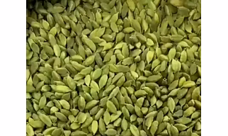 CARDAMOM