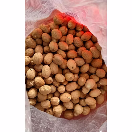 NUTMEG-12781641