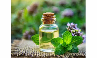 pepermint oil