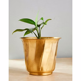 al haven decor add a touch of luxury to your space with the prince planter. featuring a stunning gold finish and elegant spiral design, this metal planter is perfect for both indoor and outdoor décor. with a 30.48 cm diameter and 35.56 cm height, it’s ideal for showcasing medium to large plants. durable, stylish, and eye-catching — a perfect centerpiece for your home, balcony, or garden.