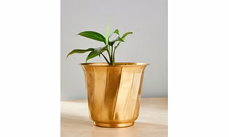 Add a touch of luxury to your space with the Prince Planter. Featuring a stunning gold finish and elegant spiral design, this metal planter is perfect for both indoor and outdoor décor. With a 30.48 cm diameter and 35.56 cm height, it’s ideal for showcasing medium to large plants. Durable, stylish, and eye-catching — a perfect centerpiece for your home, balcony, or garden.