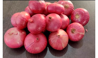 Fresh Onions