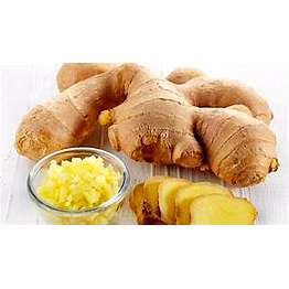 fresh indian ginger