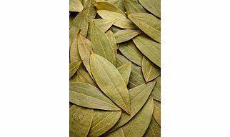 Bay Leaf (Tej Patta)