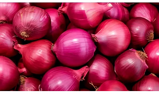 Onion