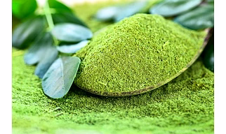 Moringa Power