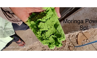 Moringa Powder