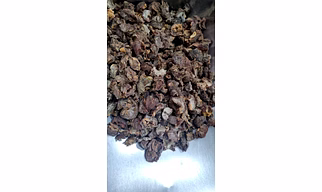 Dry Amla