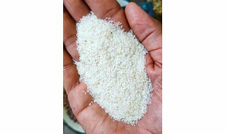 Isabgol Bhusi (Psyllium husk )
